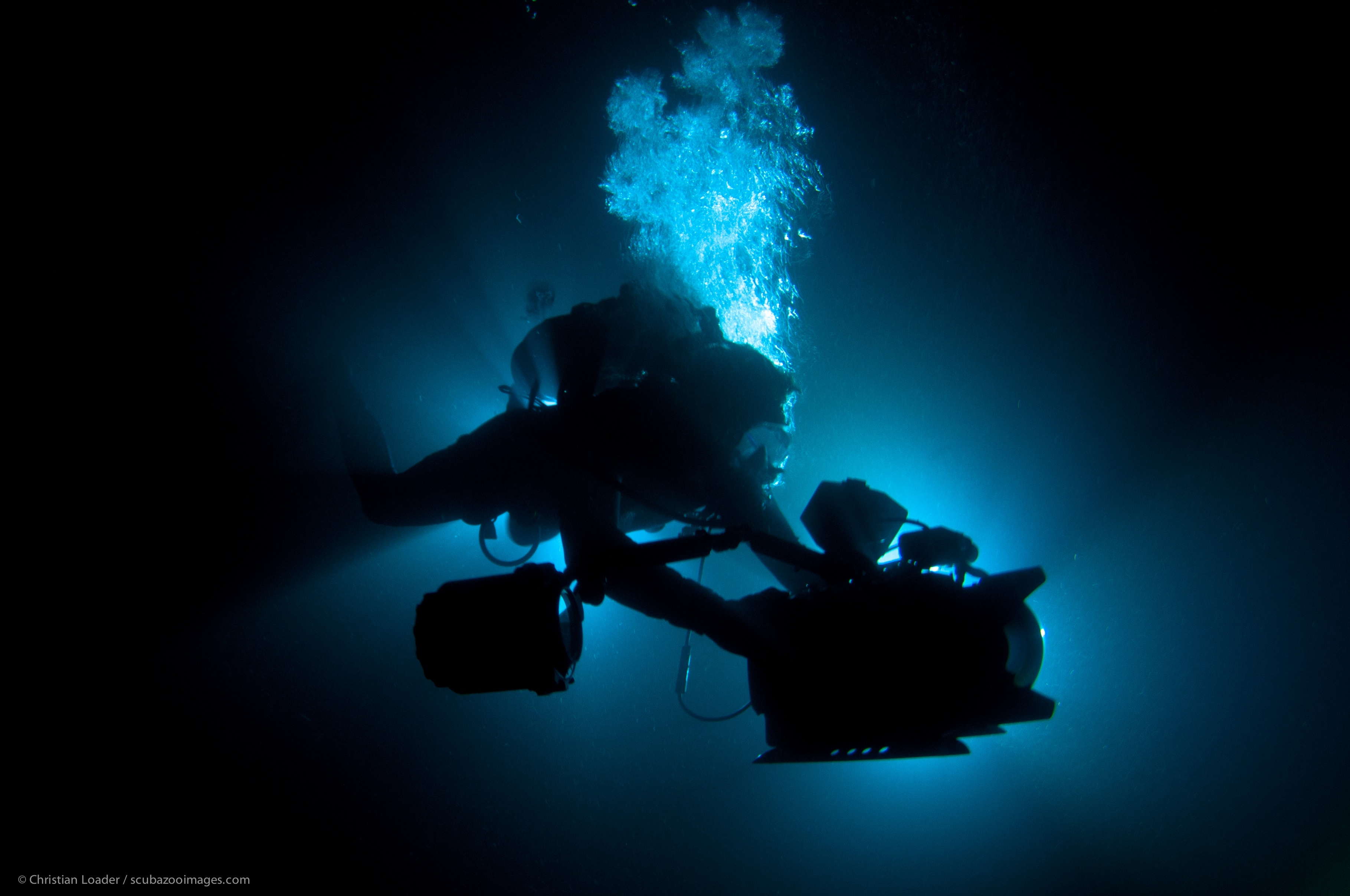 night dive 